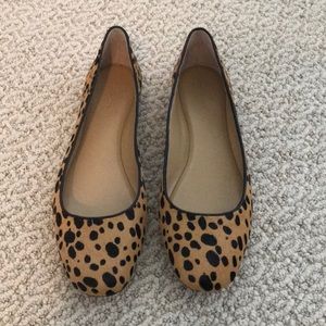 Ann Taylor Animal Print Ballet Flat